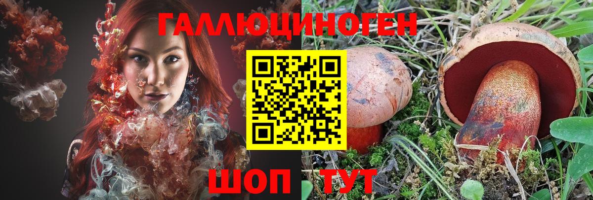 Советская Гавань  Псилоцибиновые грибы мицелий  купить закладку  Вход с VPN 