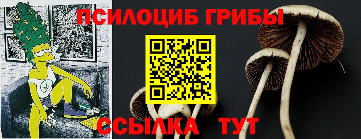 Псилоцибиновые грибы мицелий Советская Гавань